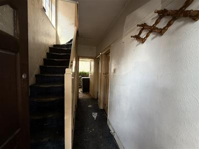 Picture 3